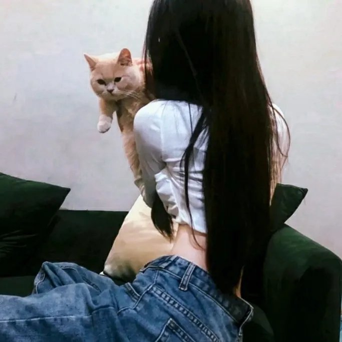不知东方既白